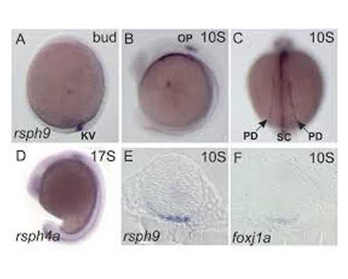 
              2026南京排名第一的不孕不育医院是哪家？
