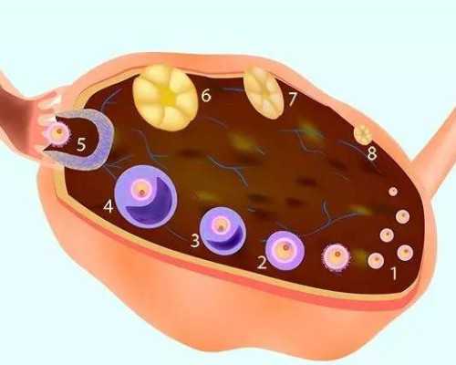 去哪做代孕好,促排期间需要坚持运动吗？试管婴儿的注意事项！