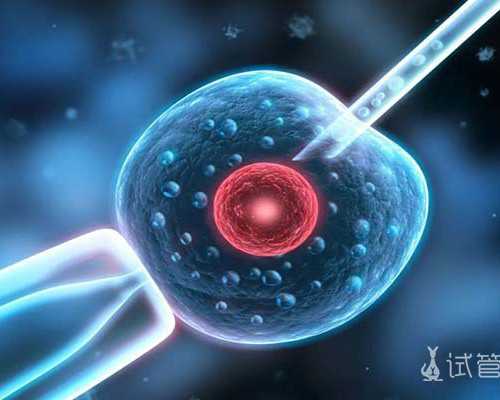 试管婴儿南京妇幼需要多久(南京妇幼医院试管婴儿花费明细表)