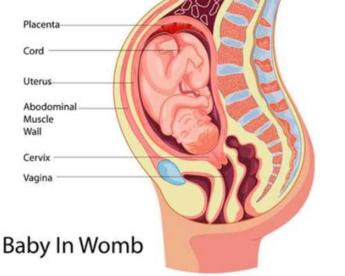 代孕中心客服电话,孕妇为什么不能吃苋菜？注意这四点就不会滑胎