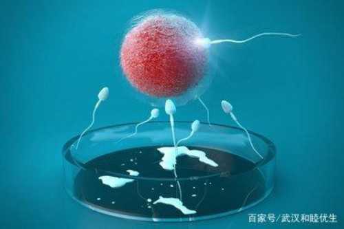 南京正规试管婴儿助孕机构有哪些？南京试管婴儿医院排名？