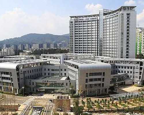 女性步入更年期需关注！试管婴儿助孕受年龄限制