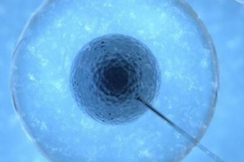 南京医科大学第二附属医院做供精人工授精成功率怎么样？