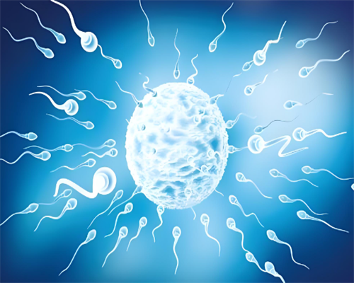 哪儿有代孕的,做泰国试管婴儿**的*率是多少