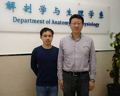 南京哪个医院做试管成功率高